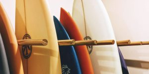 The Different Types of Surfboards for Beginners - Which One Is Right for You?