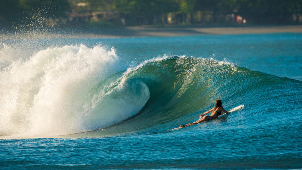 5. HT's (Hollow Trees) - The 10 Best Surf Spots in Mentawai