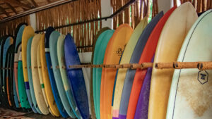 7 Tips to Buy Surfing Gear- Your Ultimate Surf Equipment Guide