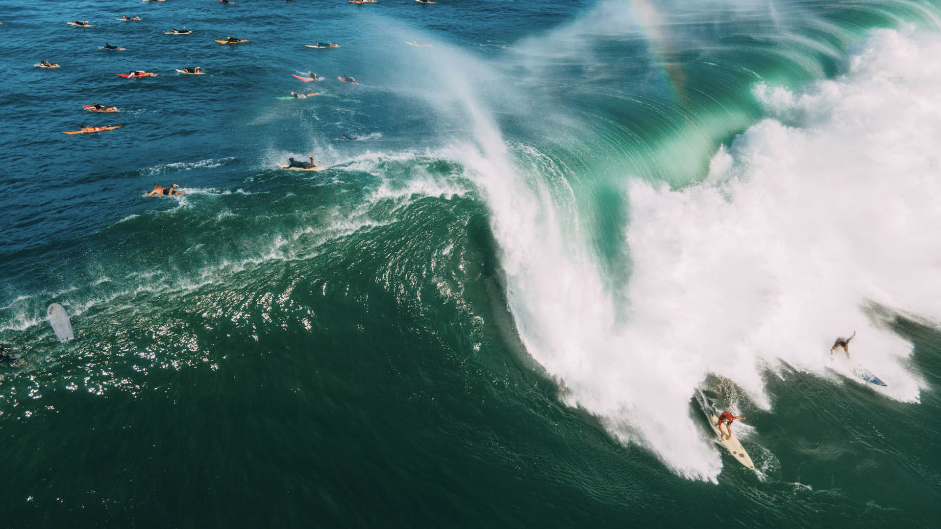 Surf's Up! 10 Wave Types Every Surfer Should Know