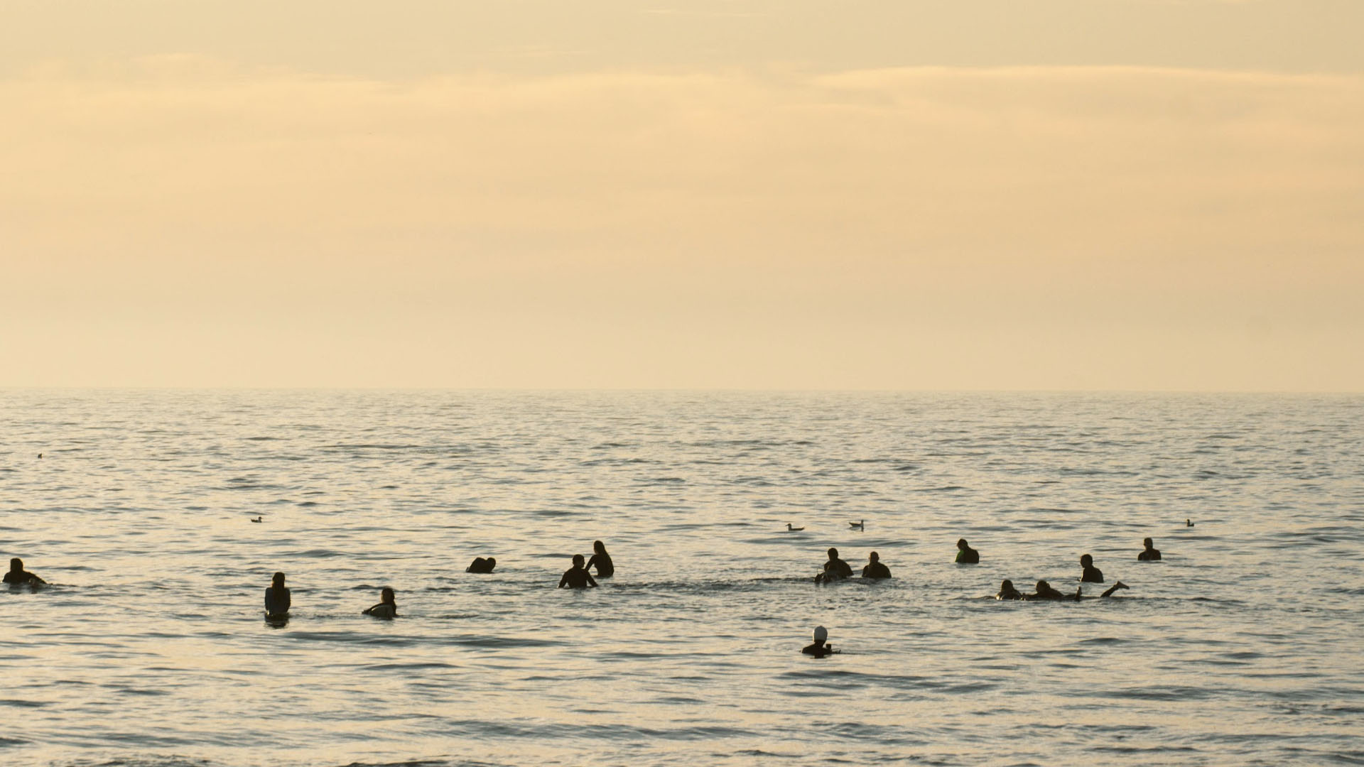 Fall surf in Morocco – empty lineup at Anchor Point with golden hour light
